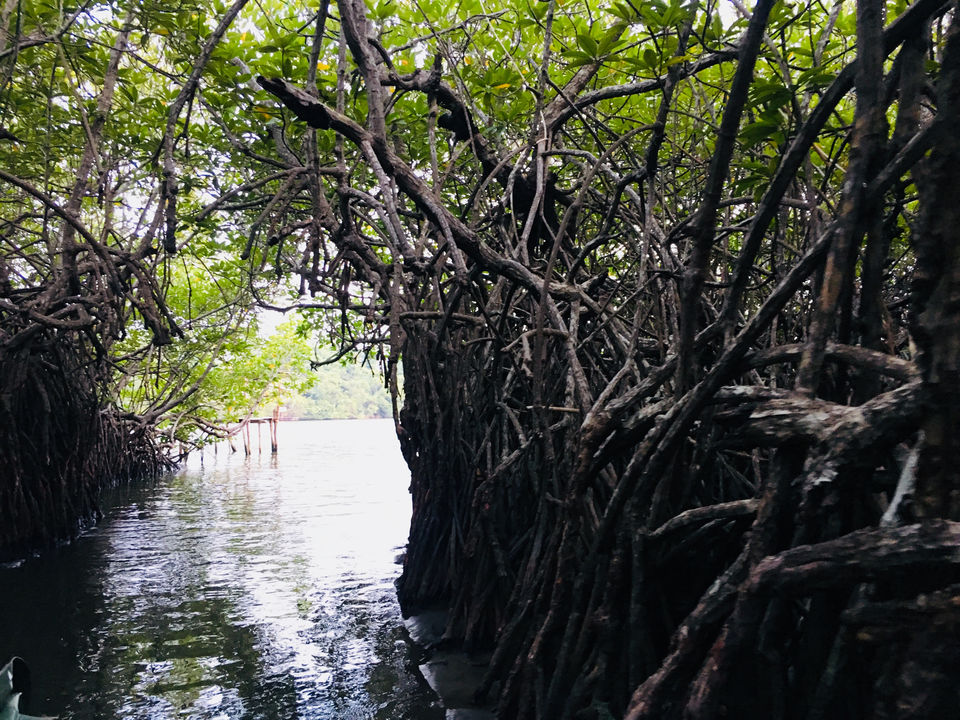 Photo of Balapitiya, Sri Lanka by Khevna Bhatt Shah