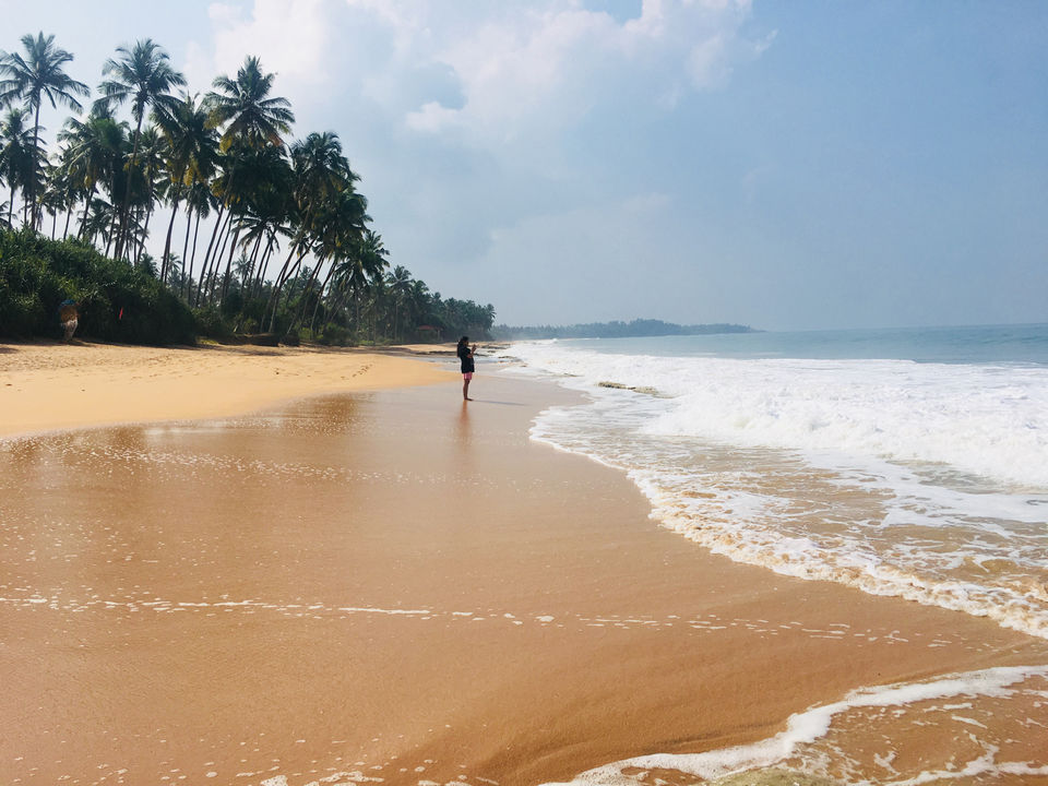 Photo of The Habitat by Asia Leisure, Kosgoda, Sri Lanka by Khevna Bhatt Shah