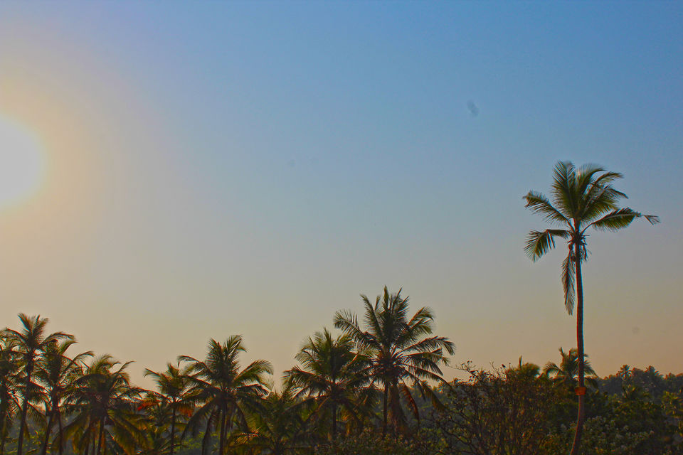 Photo of Vagator Beach, Bardez, Goa, India by Himakshi Joshi