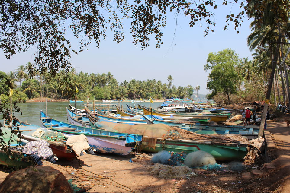 Photo of Nerul River, Bardez, Goa, India by Himakshi Joshi