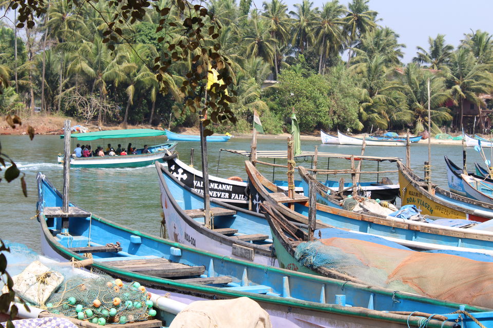 Photo of Nerul River, Bardez, Goa, India by Himakshi Joshi