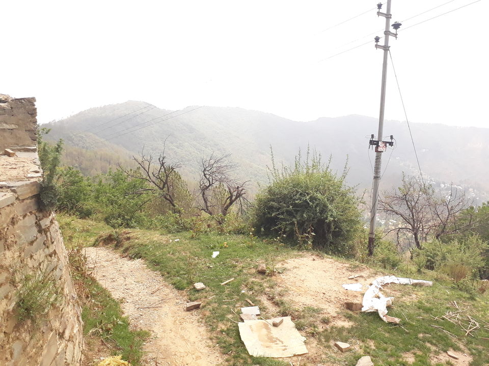 Photo of Chail, Himachal Pradesh, India by Himakshi Joshi