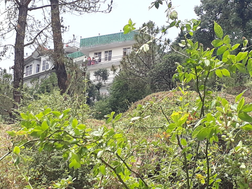 Photo of Chail, Himachal Pradesh, India by Himakshi Joshi