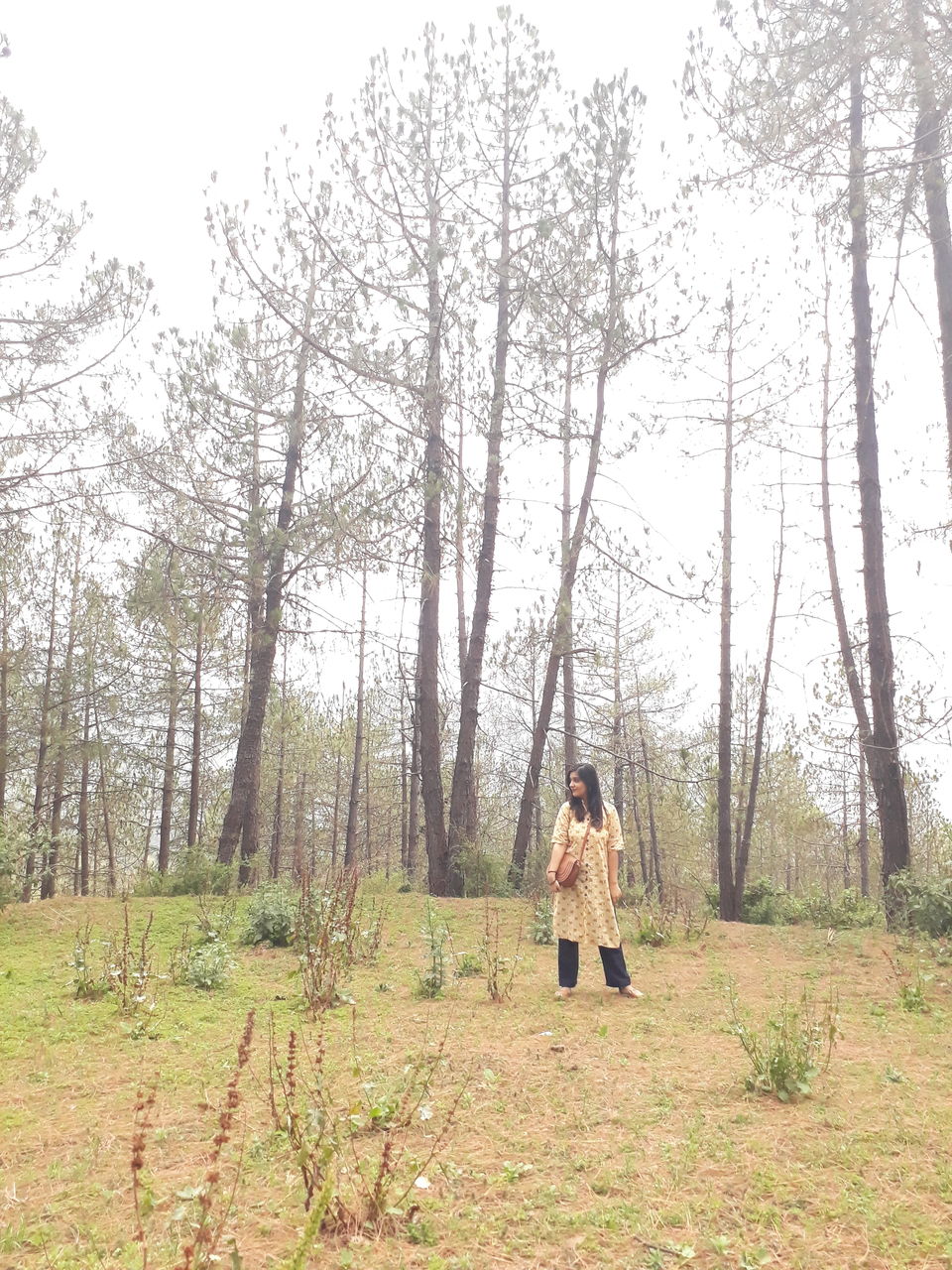 Photo of Chail, Himachal Pradesh, India by Himakshi Joshi