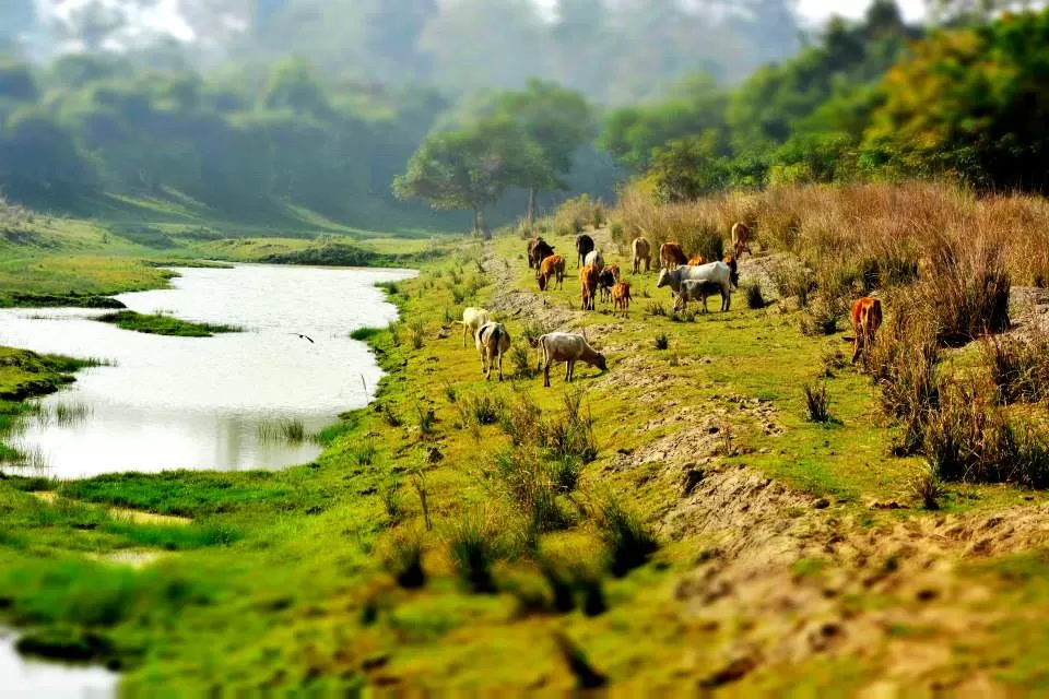 Photo of Guwahati, Assam, India by Kanj Saurav