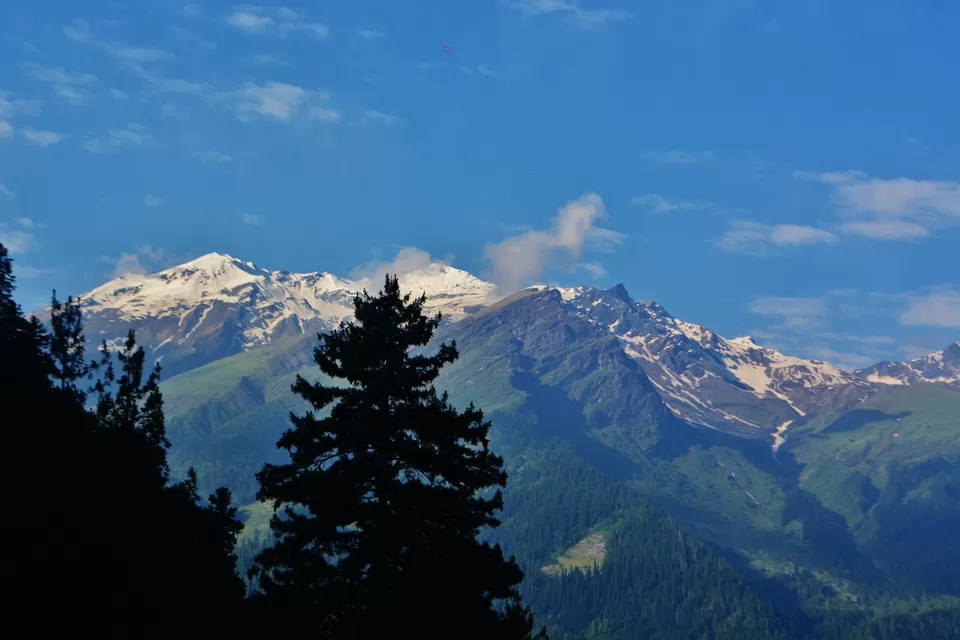 Photo of Tosh By Kanj Saurav