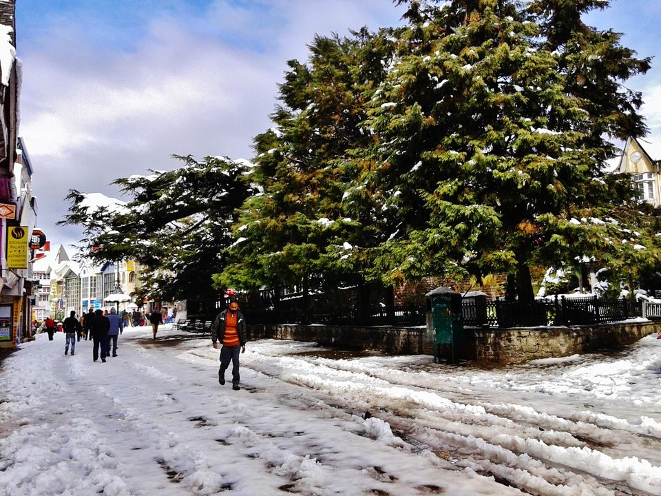 Photo of When it snowed in Shimla 4/33 by Kanj Saurav
