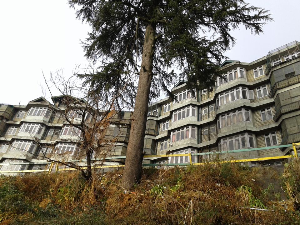 Photo of When it snowed in Shimla 22/33 by Kanj Saurav