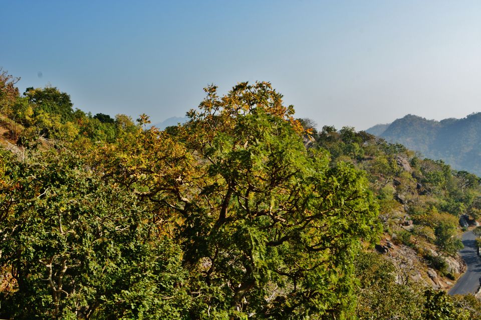 Photo of Diwali at Lake Pichola, Udaipur 4/16 by Kanj Saurav