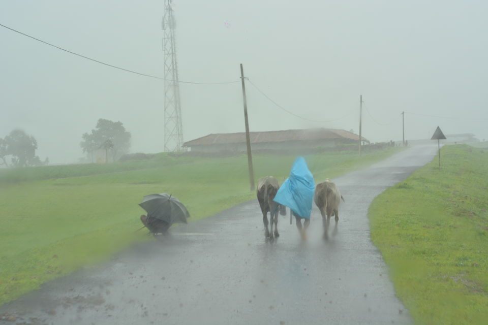 Photo of Places you won't go to- (i) Mainpat 8/11 by Kanj Saurav
