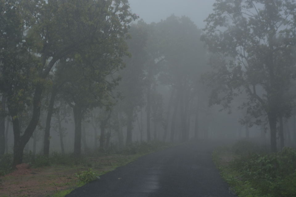 Photo of Places you won't go to- (i) Mainpat 9/11 by Kanj Saurav