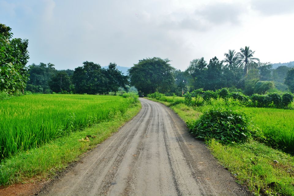 Photo of Places you won't go to (ii)- Navsari 12/16 by Kanj Saurav