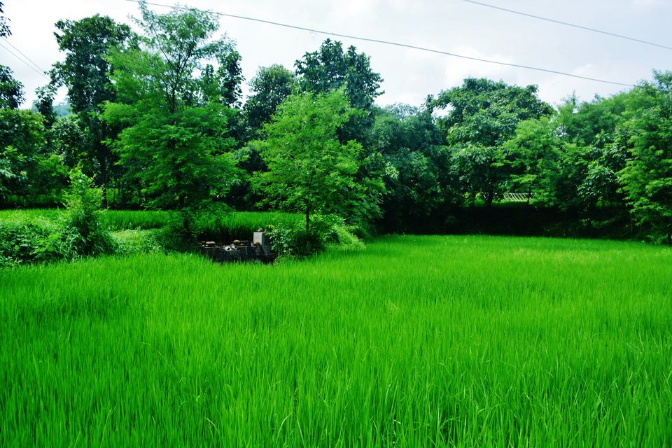 Photo of Places you won't go to (ii)- Navsari 5/16 by Kanj Saurav