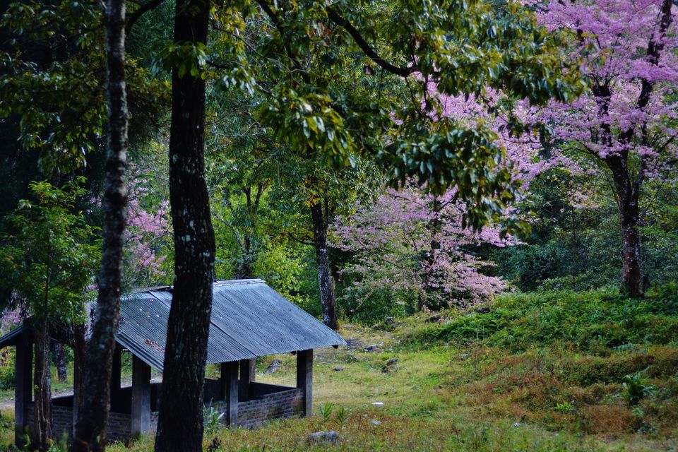 Photo of Cross Border Tourism: North East by Kanj Saurav