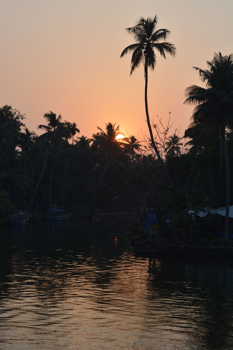 Photo of Alleppey, Kerala, India by Kanj Saurav