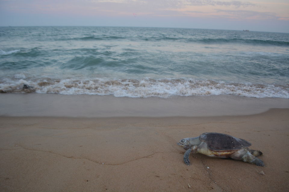 Photo of Pondicherry, Puducherry, India by Kanj Saurav