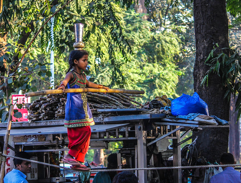 Photo of The Real Travellers of India and where to find them 2/2 by Kanj Saurav