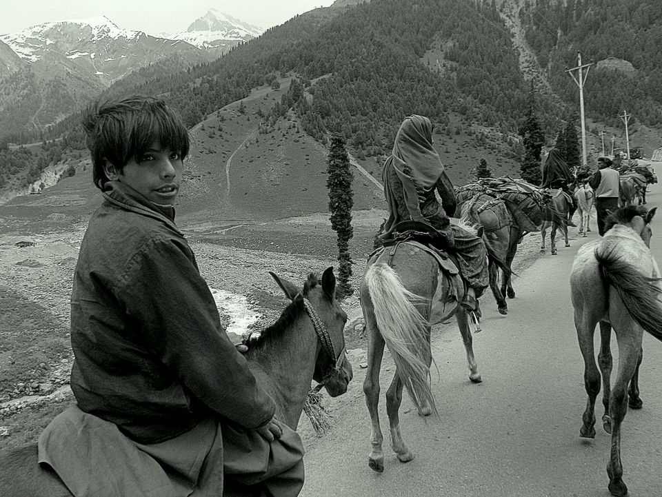 Photo of The Real Travellers of India and where to find them by Kanj Saurav