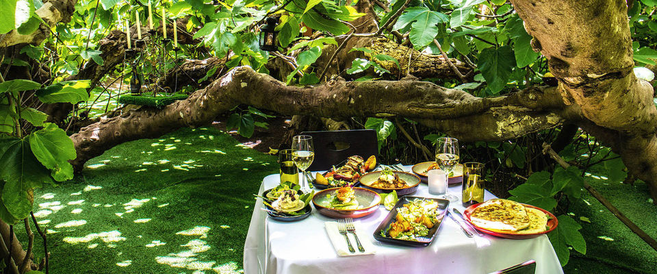 Photo of WIN The Ultimate Foodie Trip to Adelaide, including MasterClass with Chef Gary Mehigan 2/2 by Kanj Saurav
