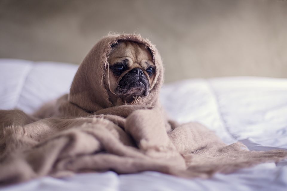 Photo of How To Beat Seasonal Affective Disorder (SAD) This Winter by Kanj Saurav