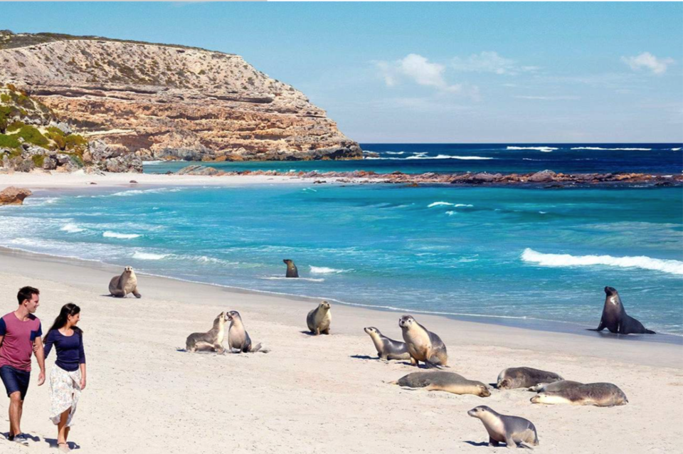 Photo of Partner Loves Adventure? 5 Thrilling Honeymoon Ideas for Crazy Couples 4/5 by Kanj Saurav