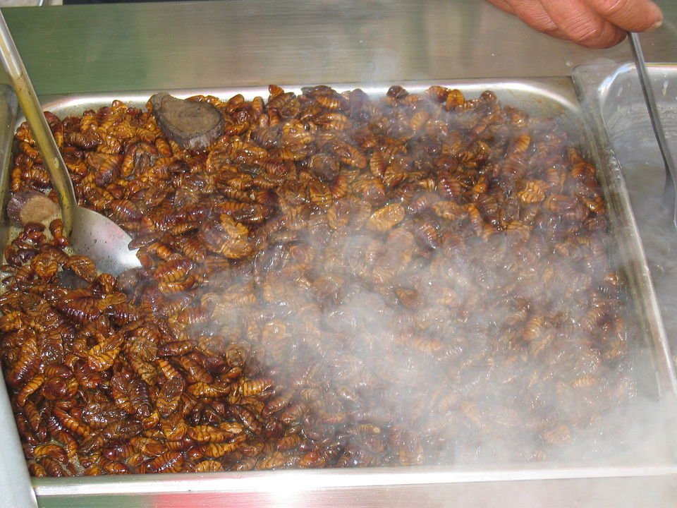 Photo of Ghost Chilly, Beef, Oranges, Cherries & More- Hit These Towns To Taste The Best Of Northeast 9/10 by Kanj Saurav