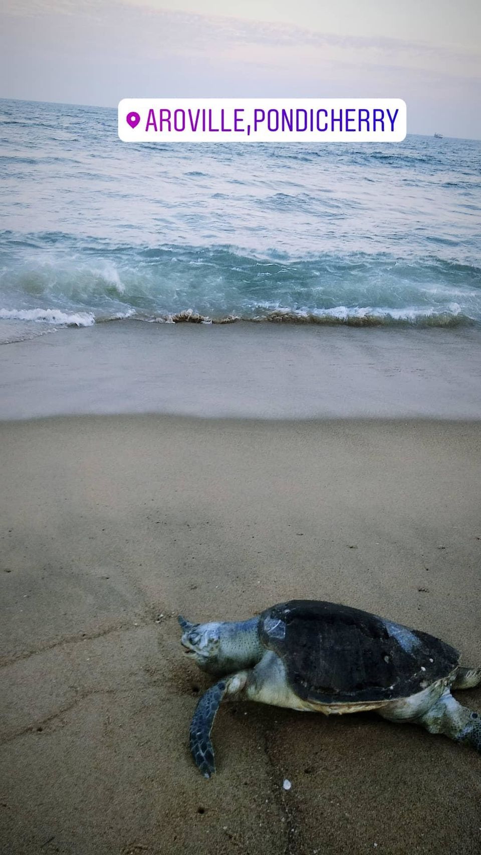 Photo of I Can Sense The Supernatural, And This Is My Story From Auroville Beach 1/4 by Kanj Saurav