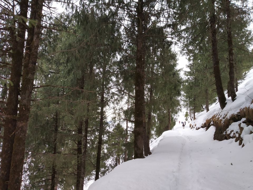 Photo of Trekking to a Frozen Lake – a Picture Perfect Trail to Parashar 7/13 by Kanj Saurav