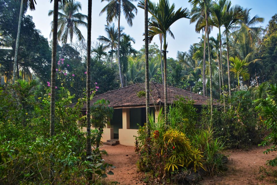 Photo of Thankfully the Party Loving Tourists Chose Goa and Left This Beautiful Town Untouched by Kanj Saurav