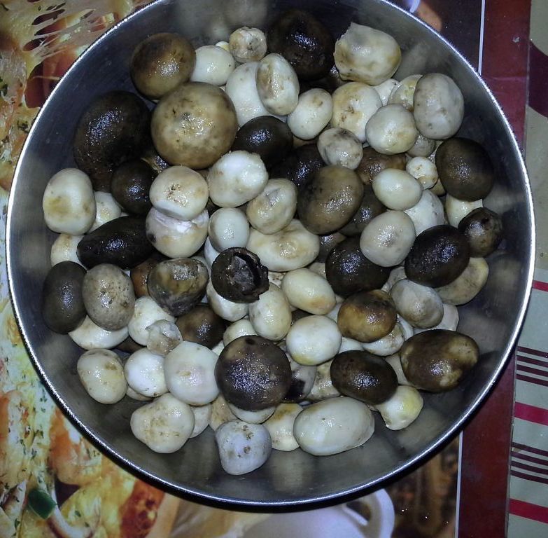 Photo of Rugda – Will This Traditional Dish from Jharkhand Be Lost to The Changing Times? 1/3 by Kanj Saurav