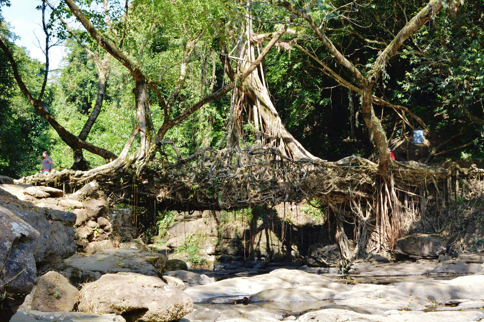 Photo of A Walk Through the Cleanest Village of Asia – Mawlynnong 2/6 by Kanj Saurav