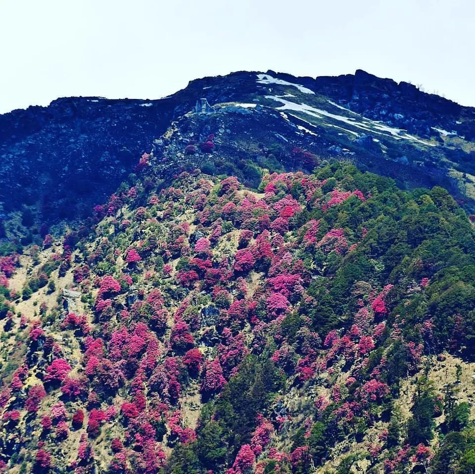 Photo of मुनस्यारी, Uttarakhand, India by Kanj Saurav