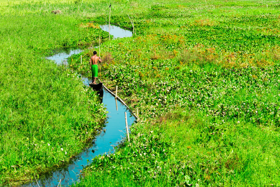 Photo of The Complete Guide to Majuli: The Largest Riverine Island in The World 3/4 by Kanj Saurav