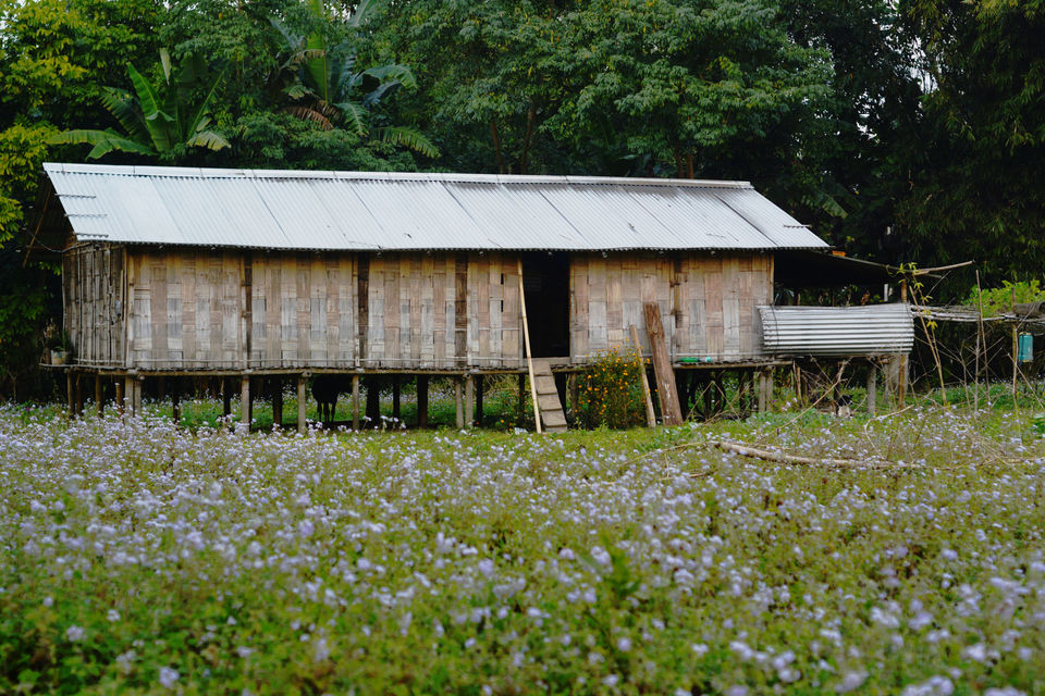 Photo of Jorhat, Assam, India by Kanj Saurav