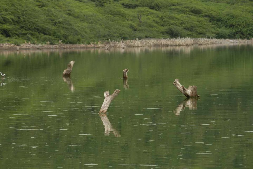 Photo of An Unplanned Trip to the Beautiful Meteor Lake 3/4 by Kanj Saurav