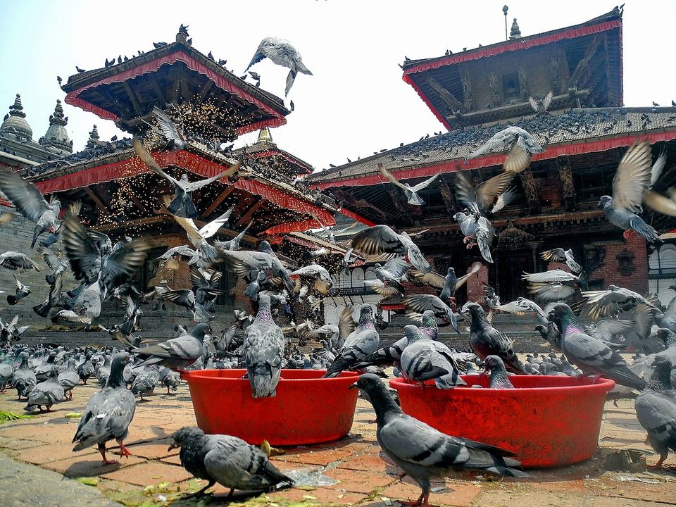 Photo of Driving Your Indian Vehicle in Nepal is So Easy! Sad That You Didn't Know About It Already 1/3 by Kanj Saurav