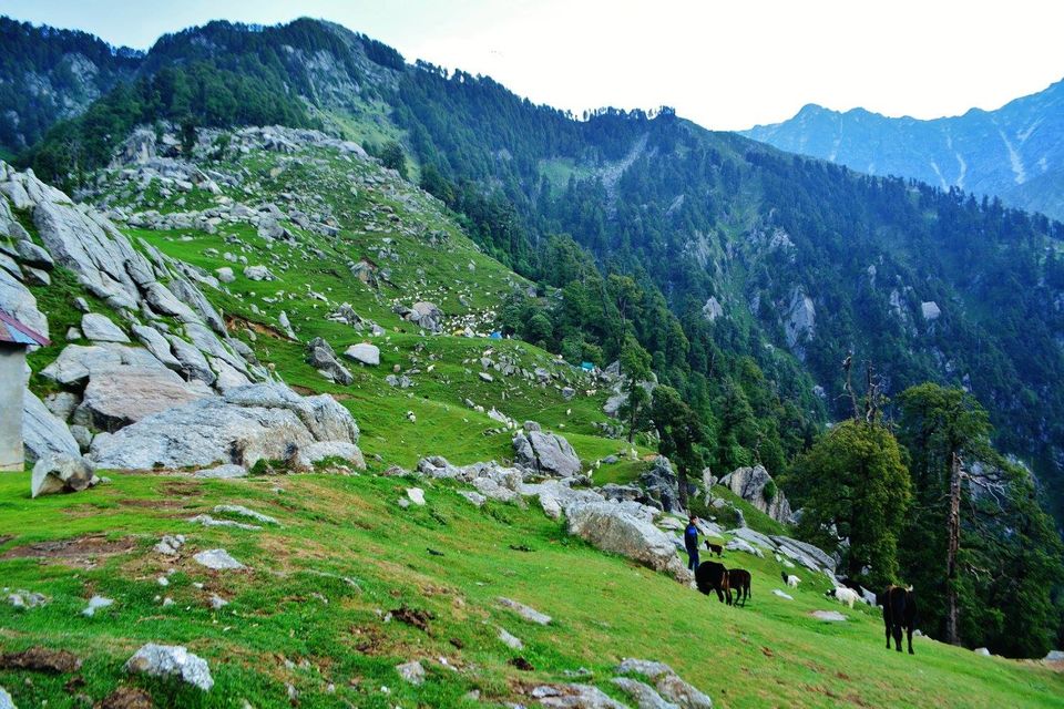 Photo of How Three College Goers Survived A Day Of Heavy Rain While Trekking To Triund 7/9 by Kanj Saurav