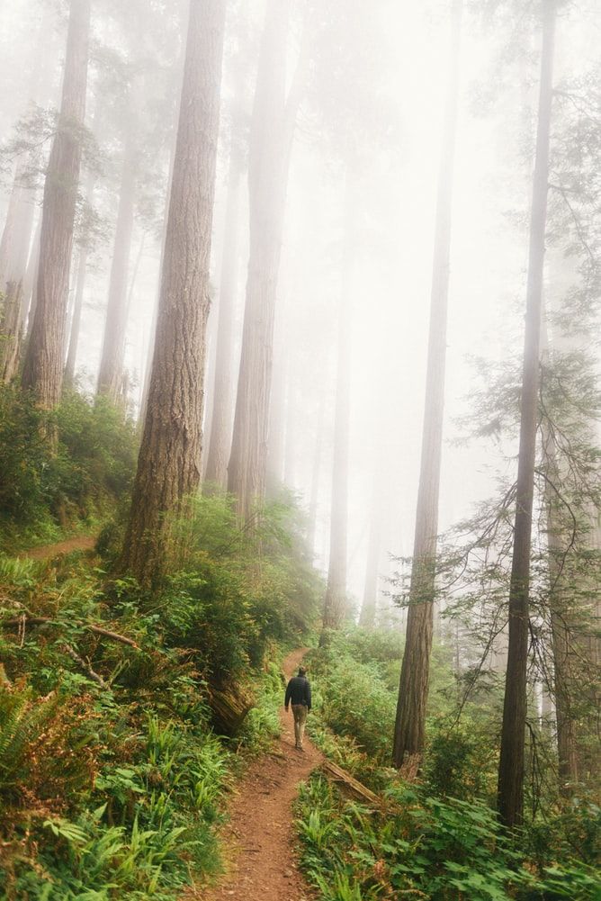 Photo of Unlike my Parents, Travel Taught Me to Put Myself First 2/4 by Kanj Saurav