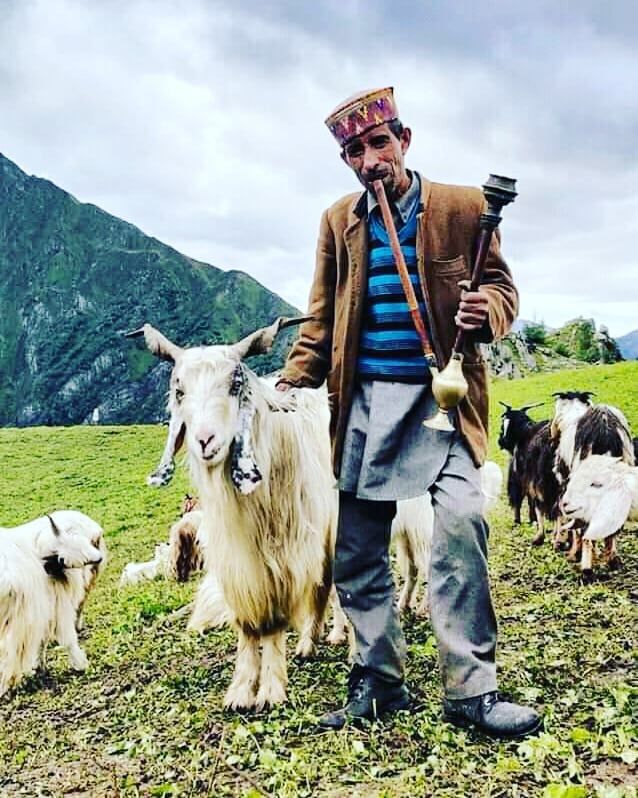 Photo of A Rendezvous with the Semi-Nomadic Tribe of Himachal: The Gaddis 1/6 by Kanj Saurav