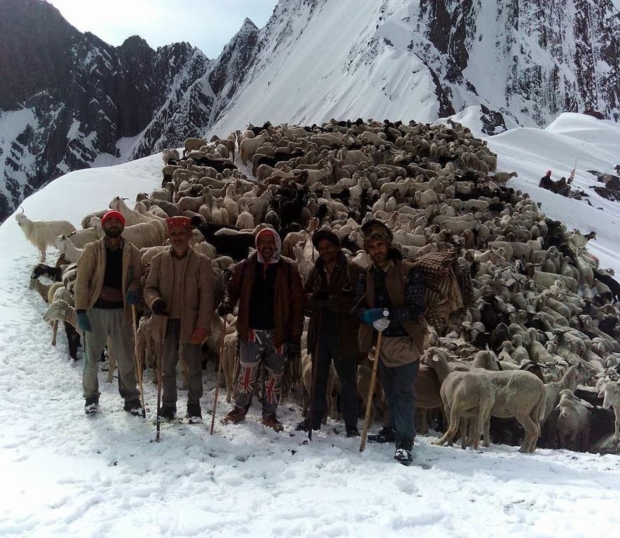 Photo of A Rendezvous with the Semi-Nomadic Tribe of Himachal: The Gaddis 2/6 by Kanj Saurav