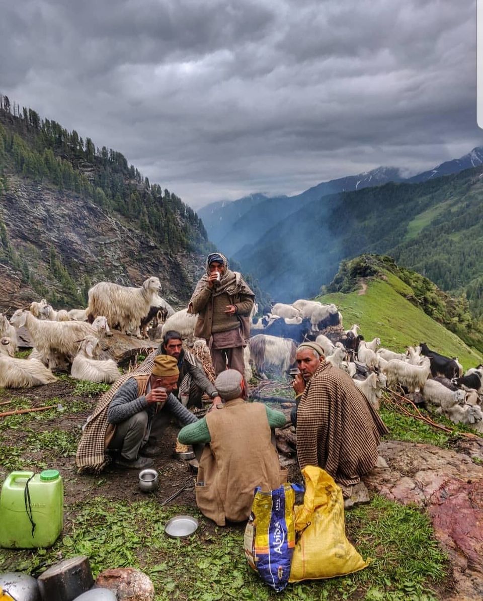 Photo of A Rendezvous with the Semi-Nomadic Tribe of Himachal: The Gaddis 3/6 by Kanj Saurav