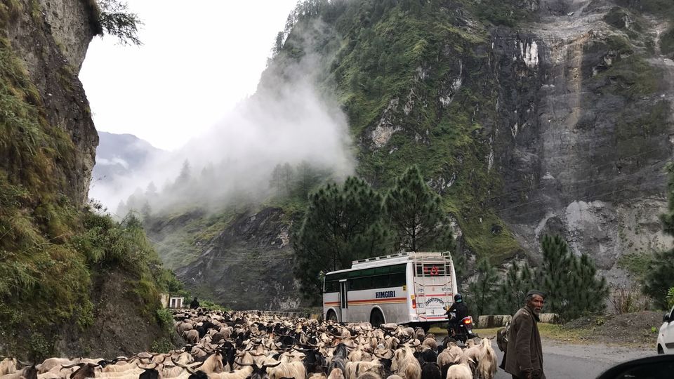Photo of No Matter How Rich I get, I'll Prefer to Travel by an Uncomfortable Local Bus, and Not a Private Cab 1/5 by Kanj Saurav