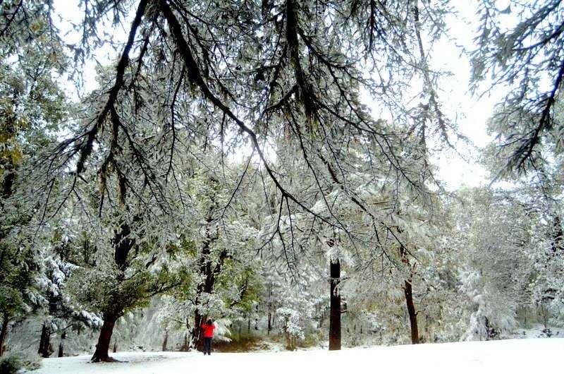 Photo of इन 8 लोकप्रिय जगहों से थोड़ी ही दूर बसती है प्रकृति की छटा, जानिए कहाँ-कहाँ! 4/16 by Kanj Saurav