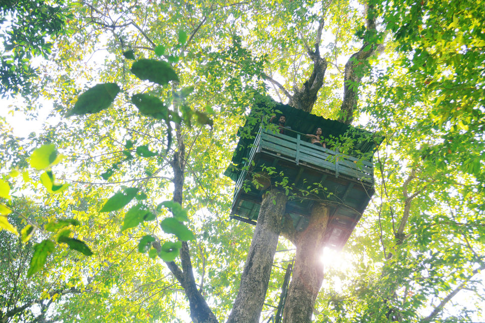 Photo of Cotigao Wildlife Sanctuary, Khotigao, Goa, India by Kanj Saurav