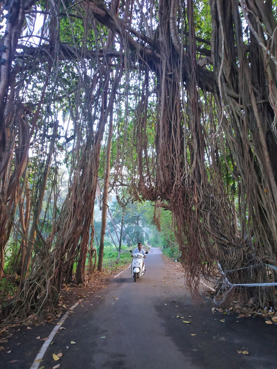 Photo of Querim Beach, Goa by Kanj Saurav