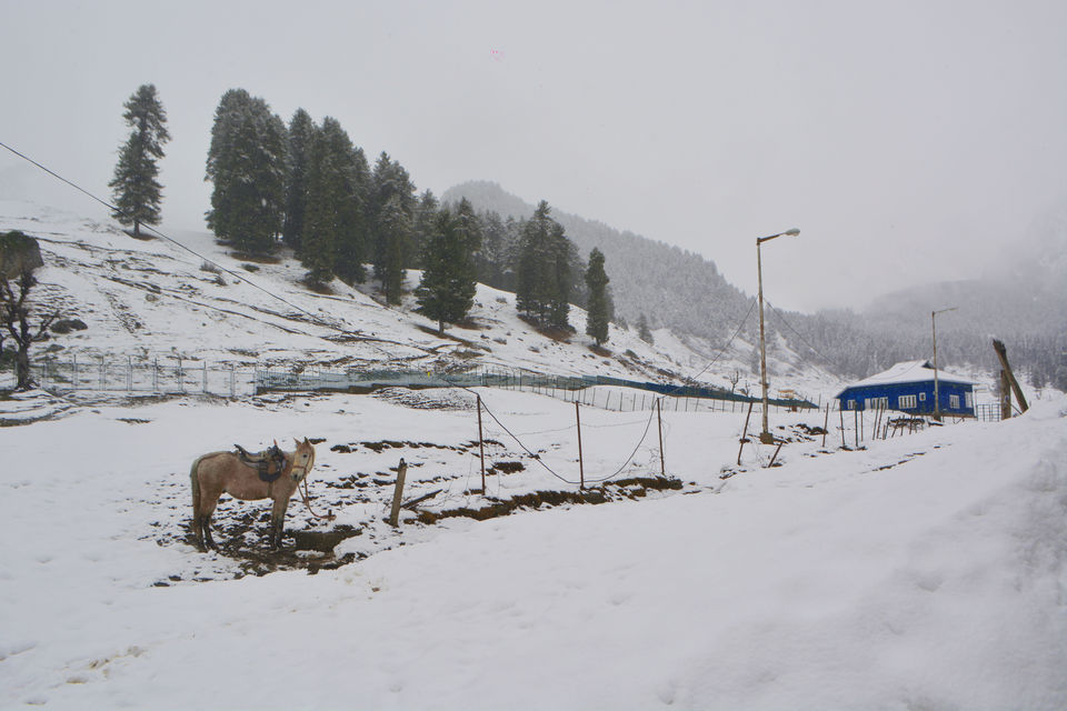 Photo of 9 Days in Kashmir by Public Transport: Exploring Non-Touristy Destinations - I 5/11 by Kanj Saurav