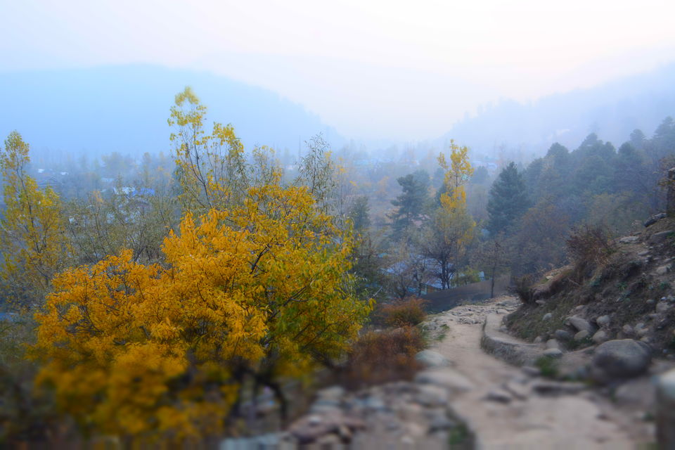 Photo of Harud: Colours of Autumn from Kashmir 4/8 by Kanj Saurav