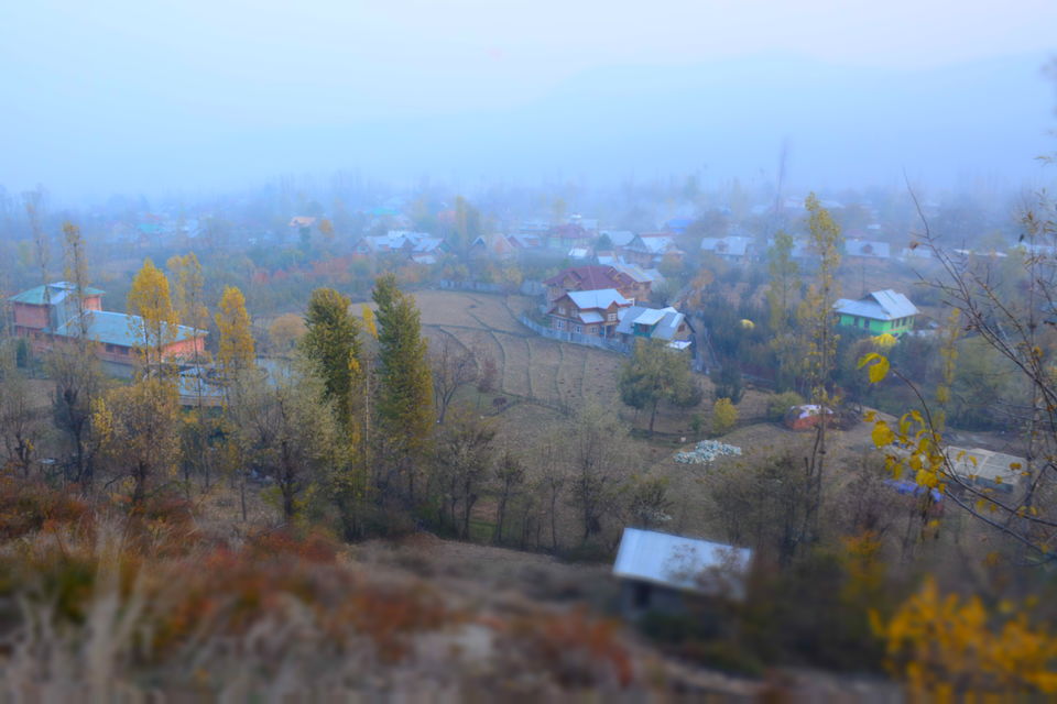 Photo of Harud: Colours of Autumn from Kashmir 5/8 by Kanj Saurav