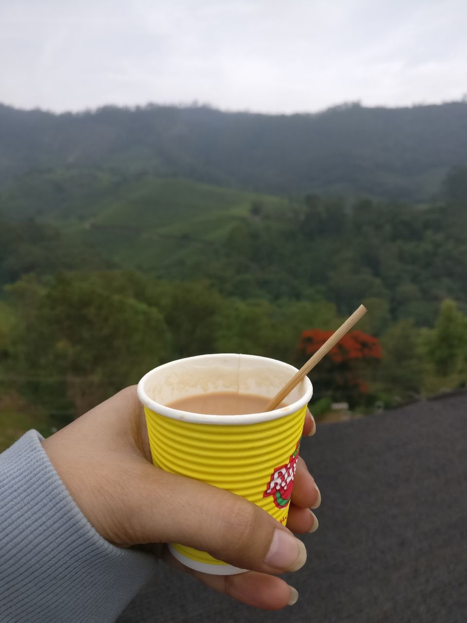 Photo of Munnar, Kerala, India by Shraddha Rajput
