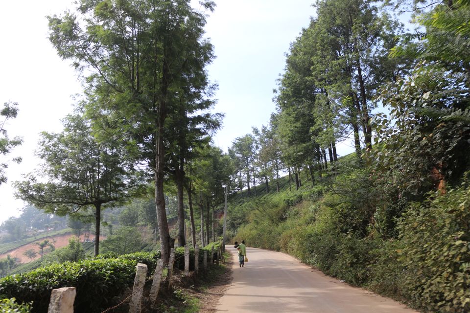 Photo of Munnar, Kerala, India by Shraddha Rajput